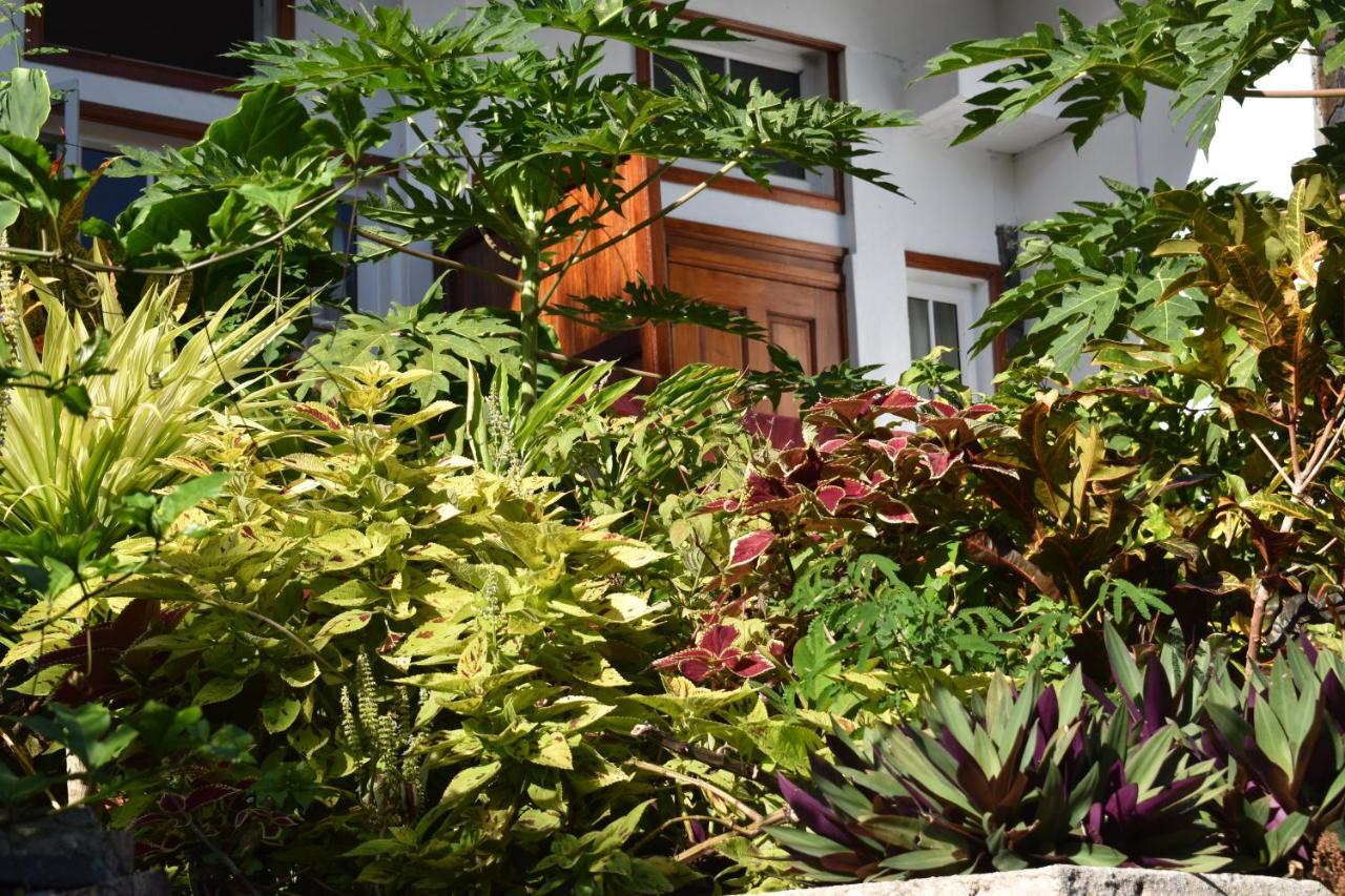 Bed and Breakfast Les Antigones Port Mathurin Zewnętrze zdjęcie